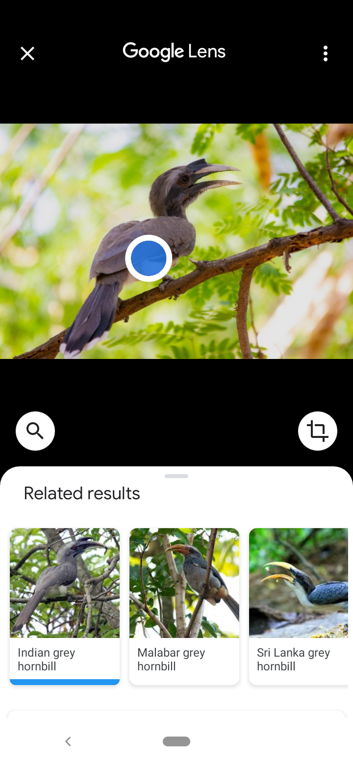 Google lens аналоги для windows